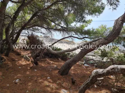 Building plot 1,618 m², Korčula island, first row to the sea - 7