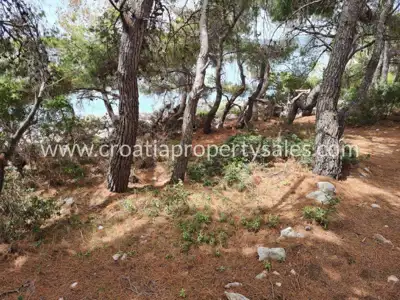Building plot 1,618 m², Korčula island, first row to the sea - 5