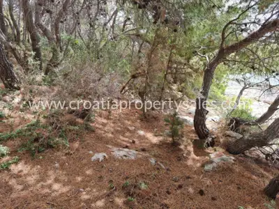Building plot 1,618 m², Korčula island, first row to the sea - 6