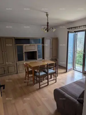 Prodaja samostojeće kuće s okućnicom i vrtom - Pazin - 3