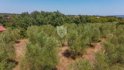 Zemljište 2.976 m², Marčana - blizu mora i plaža - 22