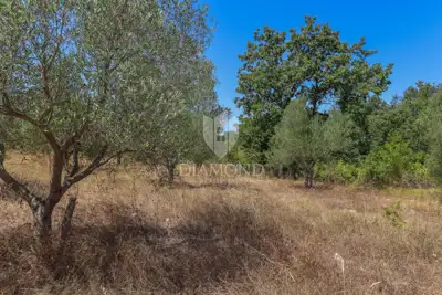 Zemljište 2.976 m², Marčana - blizu mora i plaža - 11
