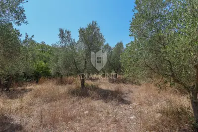 Zemljište 2.976 m², Marčana - blizu mora i plaža - 2