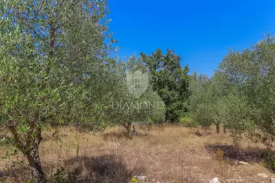 Zemljište 2.976 m², Marčana - blizu mora i plaža - 4