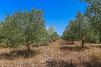 Zemljište 2.976 m², Marčana - blizu mora i plaža - 12