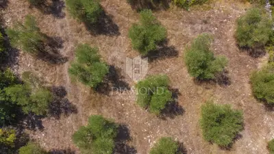 Zemljište 2.976 m², Marčana - blizu mora i plaža - 20
