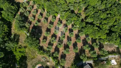 Zemljište 2.976 m², Marčana - blizu mora i plaža - 18