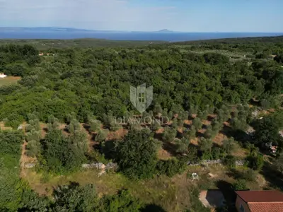 Zemljište 2.976 m², Marčana - blizu mora i plaža - 17