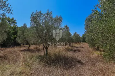 Zemljište 2.976 m², Marčana - blizu mora i plaža - 9