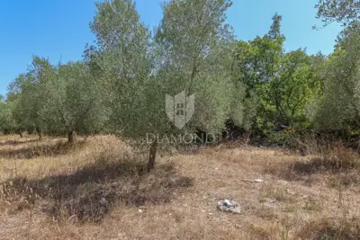 Zemljište 2.976 m², Marčana - blizu mora i plaža - 3