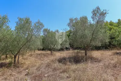 Zemljište 2.976 m², Marčana - blizu mora i plaža - 5