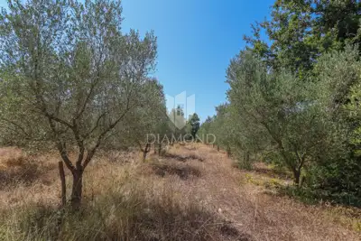 Zemljište 2.976 m², Marčana - blizu mora i plaža - 10