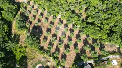 Zemljište 2.976 m², Marčana - blizu mora i plaža - 16