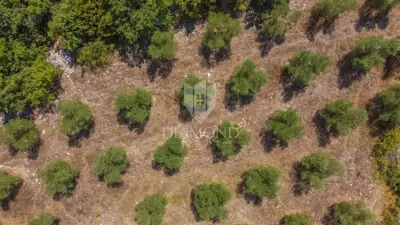 Zemljište 2.976 m², Marčana - blizu mora i plaža - 21