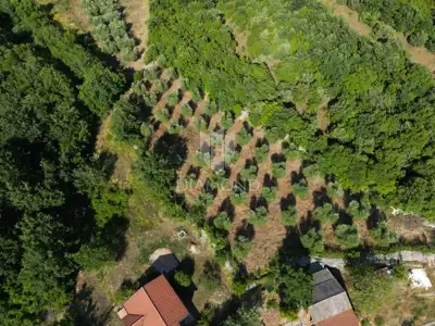 Zemljište 2.976 m², Marčana - blizu mora i plaža - 15