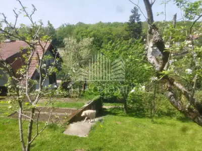 Kraljevac, house and land with a total area of 1,451 m² - 9