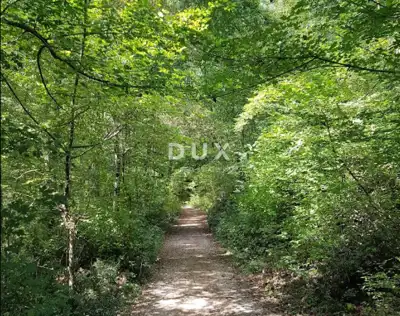 Agricultural land, Kastav - 11,187 m², gravel access