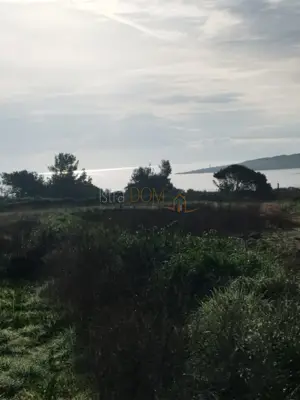Poljoprivredno zemljište 410 m², Ližnjan - maslinik