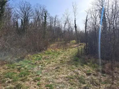 Bauland 3.100 m², Mučići - ruhige Lage - 2