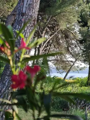 Kuća sa tri apartmana, medulin - 4