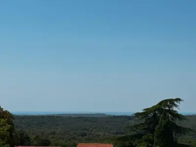 Istra, sveti lovreč, unikatna i neponovljiva investicijska prilika! - 12