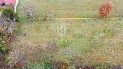 Building plot in Motovun, panoramic views and peace - 6