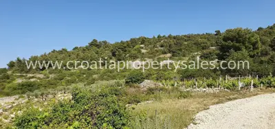 Agricultural land, Vis Island 22,232 m², sea view - 5