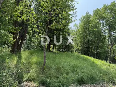 Land, Lanišće - Š1 commercial forest