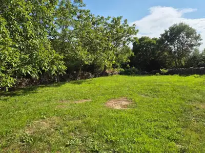 Kuća 300 m², Kanfanar - stancija s okućnicom 1.500 m² - 9