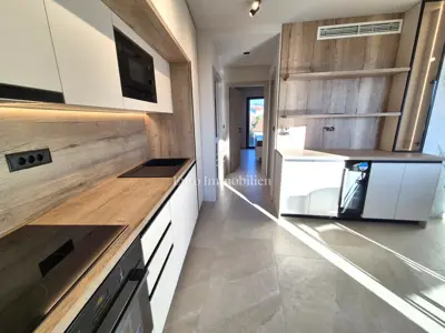 Furnished penthouse in a new building - 12
