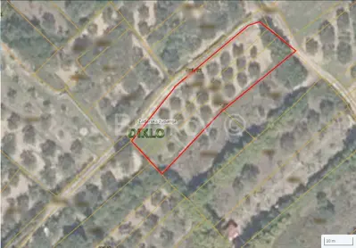 Maslinik 1331m², Kožino – mirna lokacija, 400m od mora - 4
