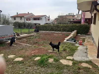 NOVIGRAD - Prodaja dva stana u obiteljskoj kući - 2