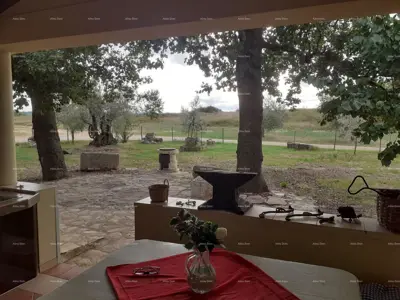 NOVIGRAD - Prodaja dva stana u obiteljskoj kući - 20