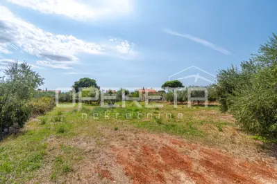 Istra, Kaštelir - building plot for 3 houses with pools - 2