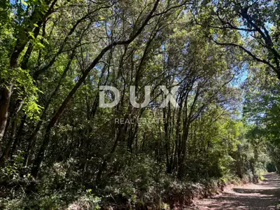 ISTRA, DUGA UVALA Poljoprivredno zemljište 300 metara od plaže! - 6