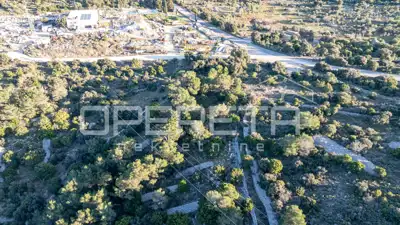 Landwirtschaftsfläche 7.862 m², Povlja auf Brač, ruhige Lage - 3