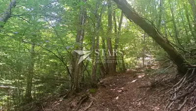 Grundstück 94.488 m², Slunj - Bauland und Wald - 11