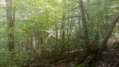 Grundstück 94.488 m², Slunj - Bauland und Wald - 12