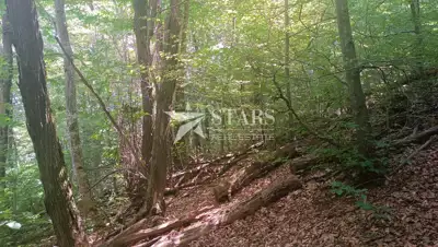 Grundstück 94.488 m², Slunj - Bauland und Wald - 9