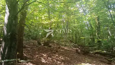 Grundstück 94.488 m², Slunj - Bauland und Wald - 13