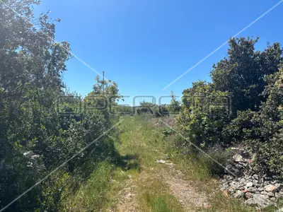 Grundstück 4 475 m², Pirovac - an der Hauptstraße und 250 m vom Meer entfernt - 7