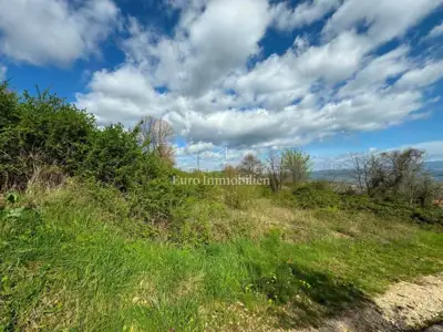 Building land 2,870 m², Pićan - quiet location - 6