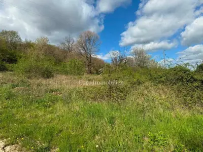 Building land 2,870 m², Pićan - quiet location - 4