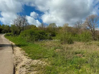 Building land 2,870 m², Pićan - quiet location - 7