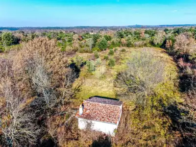 Haus in einer Oase der Ruhe und Natur unweit von Rovinj - 6