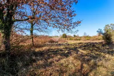 Haus in einer Oase der Ruhe und Natur unweit von Rovinj - 11