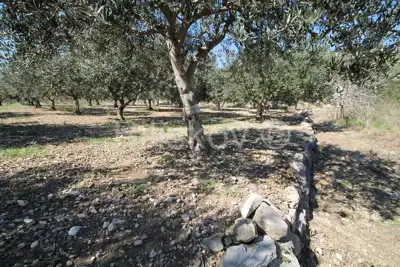 Agricultural land 2 700 m², Kaštel Štafilić, open sea view - 3