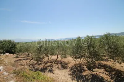 Poljoprivredno zemljište 2 700 m², Kaštel Štafilić, otvoren pogled na more