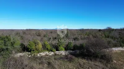 Svetvinčenat, surroundings, building plot in a quiet location - 10