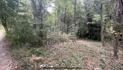 Grundstück 1.550 m², Remete - Bauzone im Parkwald - 3